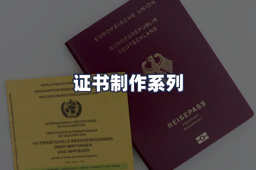 证书制作系列