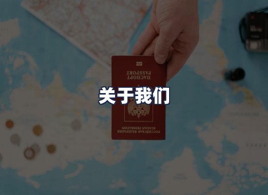 关于我们